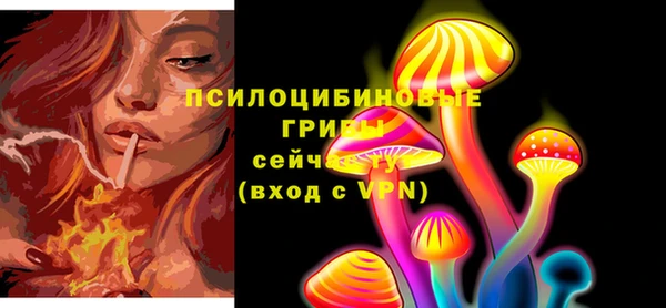 молекула духа Армянск