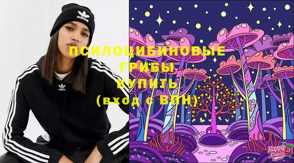 молекула духа Армянск